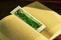 Color postcard