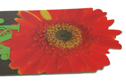 Low Price Business Card